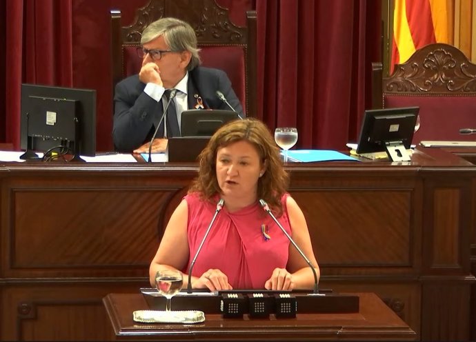 La consellera de Presidencia, Función Pública e Igualdad, Mercedes Garrido, durante su intervención este martes en el Parlament.