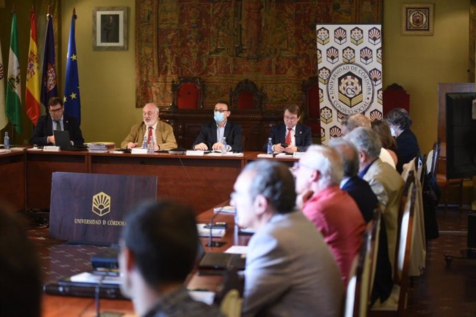 Un momento del Pleno del Consejo Social de la UCO celebrado este martes.