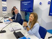 Azcón pide "no vender más humo" y realizar inversiones "de verdad" en el sector de la nieve