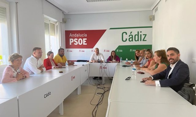 Grupo de diputados provinciales del PSOE en la Diputación.