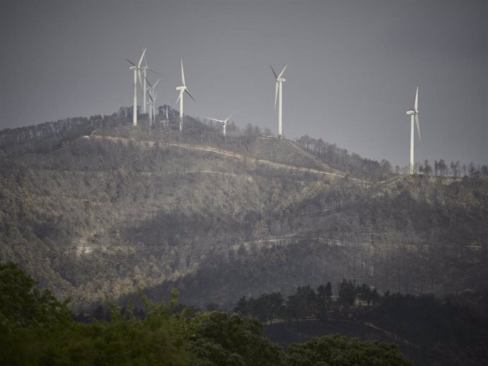 Vistas de los destrozos por el incendio en la Sierra del Perdón.