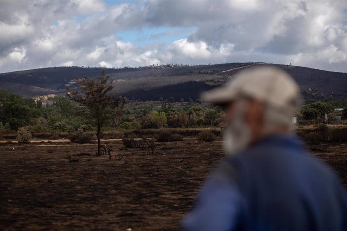 Un hombre mira el estado de la zona quemada en la Sierra de la Culebra.