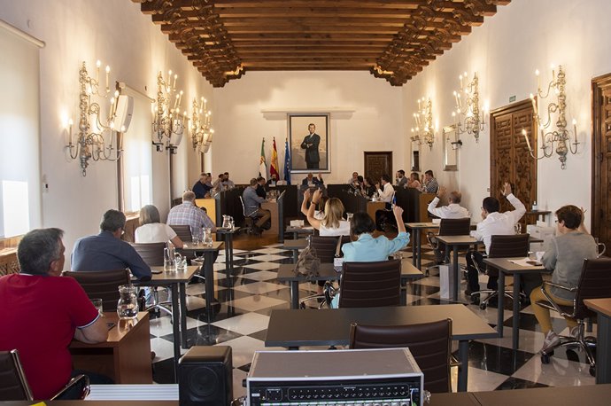 Pleno de la Diputación de Cáceres
