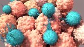Foto: Científicos evitan el "agotamiento" de las células T que combaten el cáncer