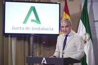 Bendodo, sobre la continuidad de Olona en Andalucía: "No es tema nuestro. Cada partido es libre de tomar sus decisiones"