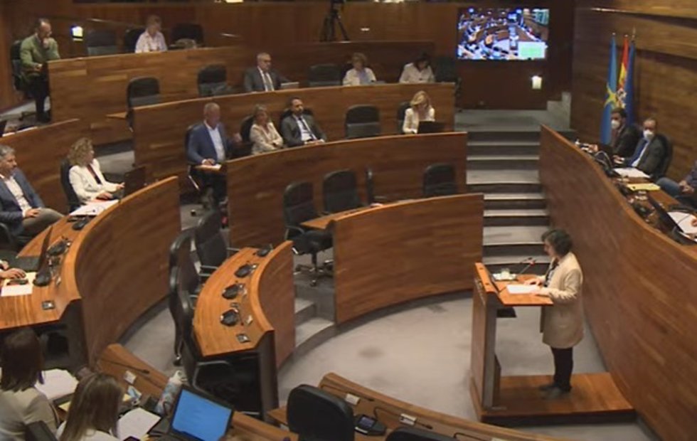 La consejera de Cultura, Berta Piñán, defiende la nueva Ley del Ridea en el pleno de la Junta General