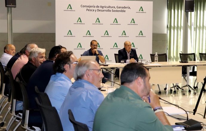 Reunión de la Junta con el sector de la chirla del Golfo de Cádiz.