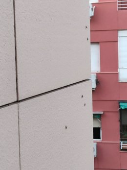 Hormigas en la fachada de un edificio en Madrid