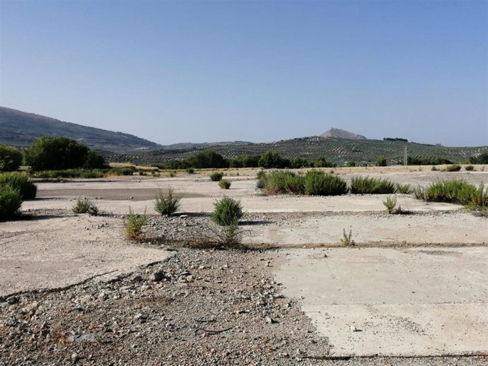 Archivo - Terrenos de la cementera Holcim en Torredonjimeno