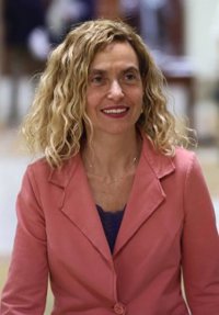 Batet avisa de que el "disenso" no puede justificar la "falta de respeto" al adversario o a las instituciones