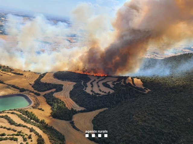 Incendio de vegetación agrícola en Artesa de Segre (Lleida), el 29 de junio de 2022.