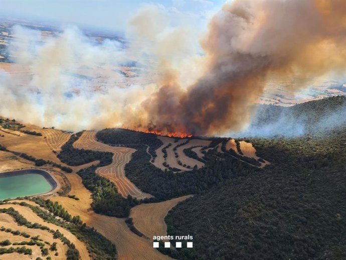 Incendi de vegetació agrícola a Artesa de Segre (Lleida), el 29 de juny de 2022.