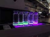 Foto: Investigadores rusos crean nuevos compuestos químicos fluorescentes que podrían ayudar a combatir el cáncer