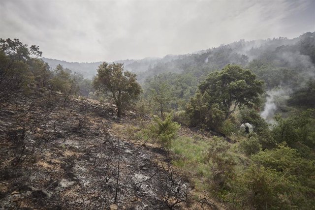 Paisaje arrasado por el incendio en Olleta, a 21 de junio de 2022, en Olleta, Navarra (España).