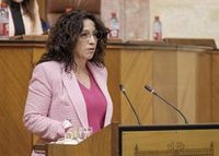 La Junta implanta un sistema robotizado para agilizar la gestión de la dependencia