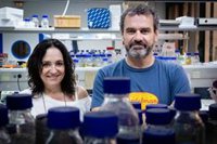 Investigadores de la UPO de Sevilla encuentran y caracterizan genes importantes en la resistencia a antibióticos