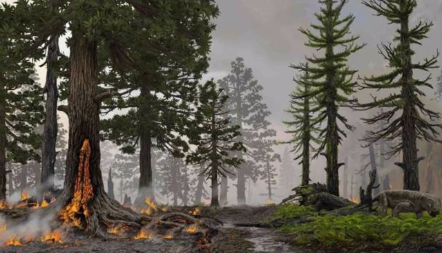 Durante el peor evento de extinción masiva en la historia de la Tierra, vastos humedales sufrieron un aumento de incendios forestales, convirtiendo los sumideros de carbono más grandes del mundo en fuentes de carbono.