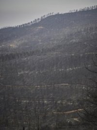 Chivite plantea una reflexión para "mejorar las herramientas" ante los incendios