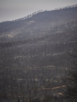 Vistas de los destrozos por el incendio en la Sierra del Perdón.