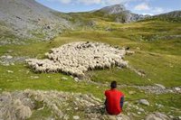 La Diputación Provincial de Huesca concede el XXV Galardón Félix de Azara a los pastores y pastoras del Alto Aragón