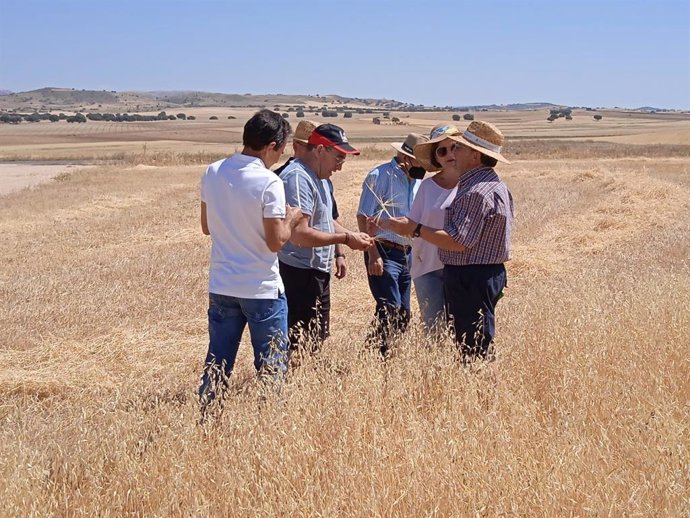 Miembros de Asaja visitan un campo de cereal en la comarca de Los Vélez (Almería).