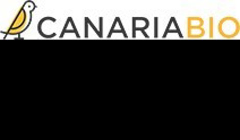 Comunicados Internacional