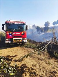 Vox critica al Gobierno local de Mairena (Sevilla) por los incendios y el PSOE le achaca "oportunismo político"