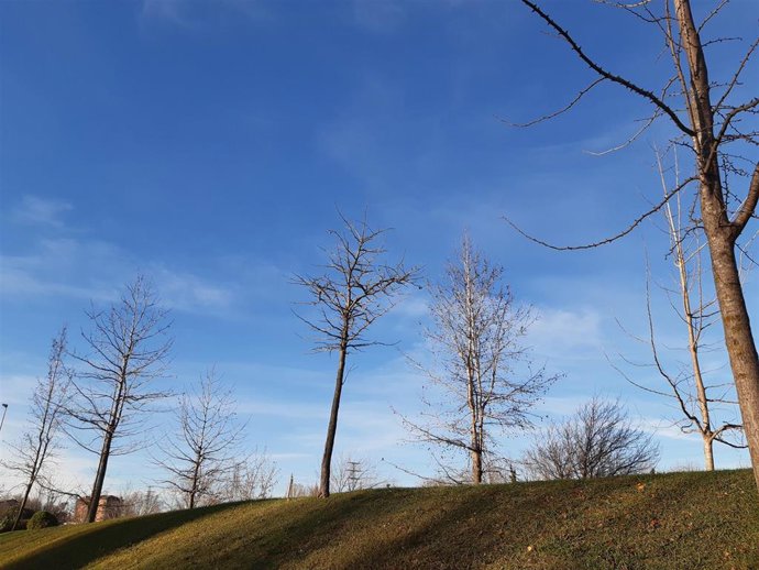 Archivo - Cielo despejado en Bizkaia