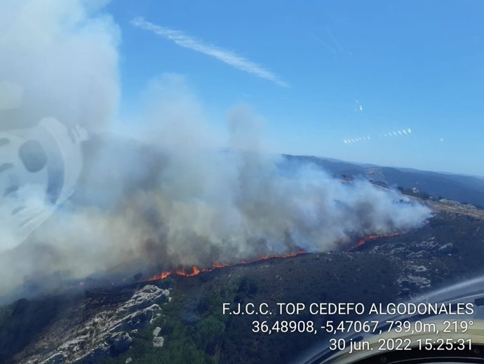 Imagen del incendio declarado en Jimena.