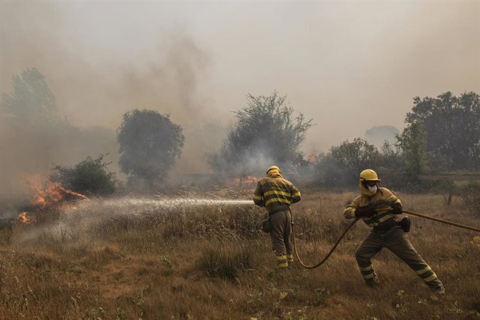 Efectivos de bomberos durante el incendio de la Sierra de la Culebra, a 18 de junio de 2022, en Zamora. Archivo