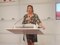 El PSC respeta la presunción de inocencia de Borrs pero pide "preservar el prestigio" de la Cámara