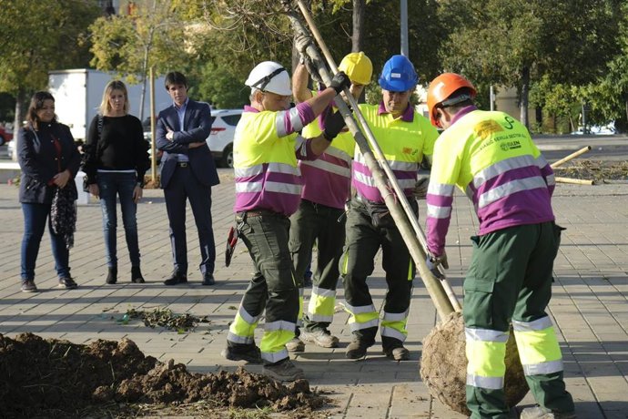 Archivo - Imagen de archivo del delegado de Transición Ecológica, Guevara, en una plantación de árboles en Tres Barrios.