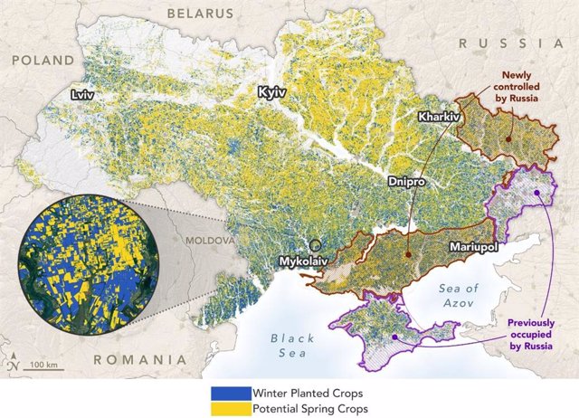 Situación de cultivos en el contexto de la invasión rusa de Ucrania