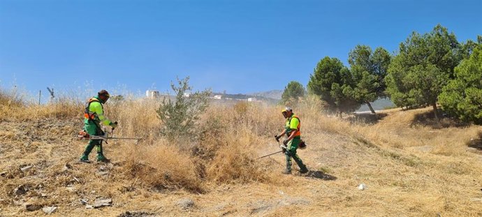 Labores de desbroce en un solar municipal.