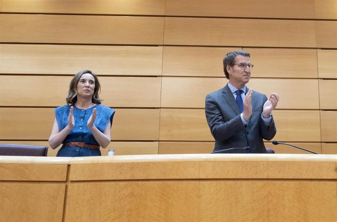 Archivo -  La secretaria general del PP y portavoz del Grupo Parlamentario Popular en el Congreso, Cuca Gamarra; y el presidente del PP, Alberto Núñez Feijóo.
