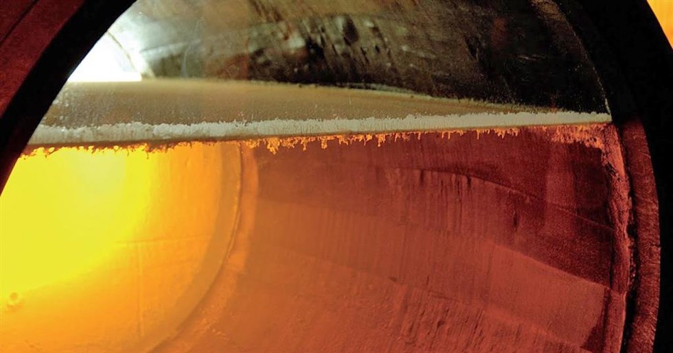 Investigadores De La Uca Participan En Estudio Internacional Sobre Las Mejores Levaduras De La Industria Vitivinícola Ibérica