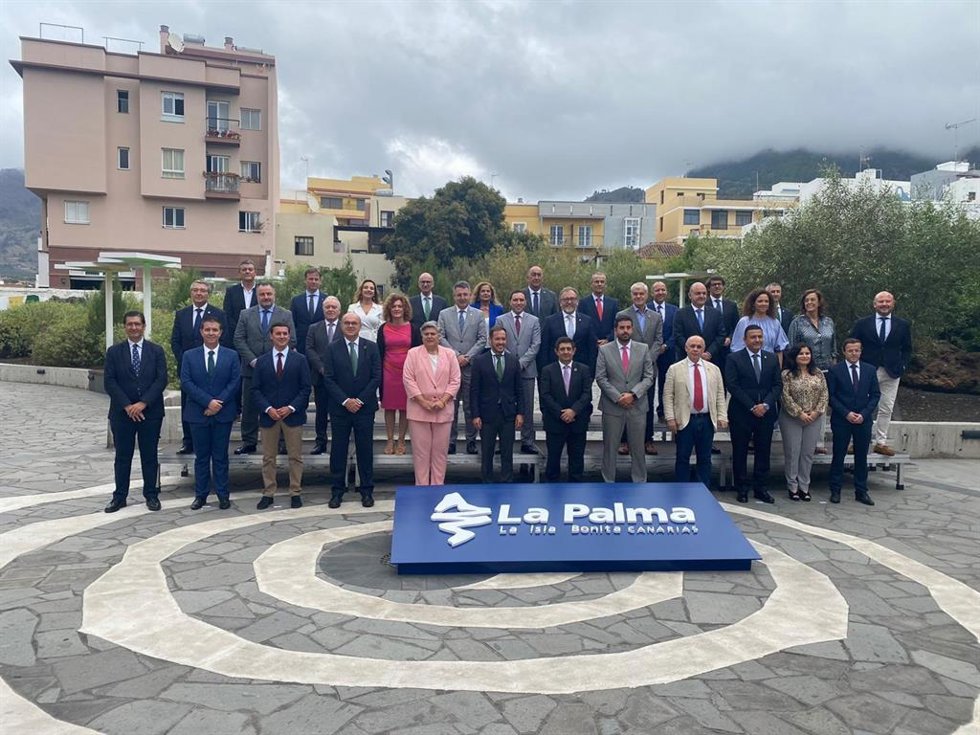 Reunión de la comisión de diputaciones, cabildos y consejos insulares de la FEMP.