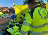 Una moto atropella a un bebé de 22 meses que cruzaba con sus padres en una silla de paseo en Carabanchel
