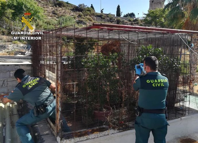 Operación SIALGA en  Mazarrón