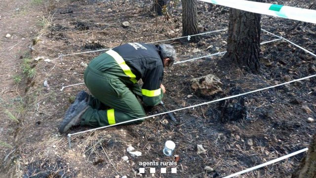 Investigació dels Agents Rurals de les causes de l'incendi de Sant Pere de Ribes