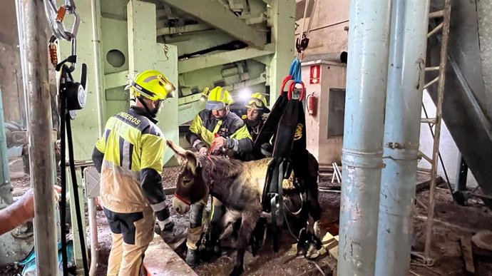 El animal llevaba perdido cuatro días en un silo de grano, a cuatro metros de profundidad.