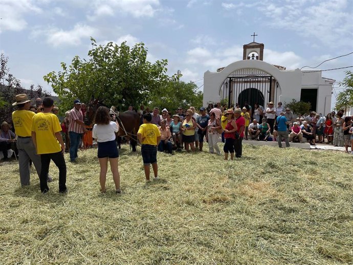 Sedella celebra el VIII Día de la Trilla