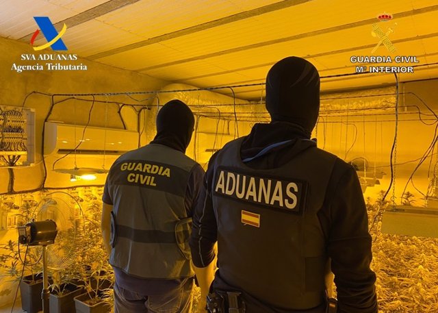 Operación de la Guardia Civil y la Agencia Tributaria contra el tráfico de drogas en Alcolea del Río (Sevilla).