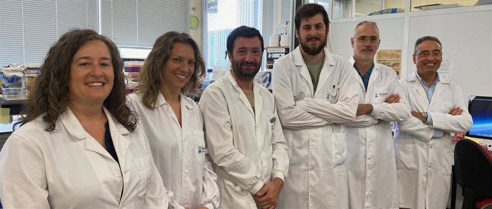 Foto del equipo de izquierda a derecha: Ana Belén Gómez, Ana Picó, Nacho Aguiló, Eduardo Moreo, Santiago Uranga, Carlos Martín.