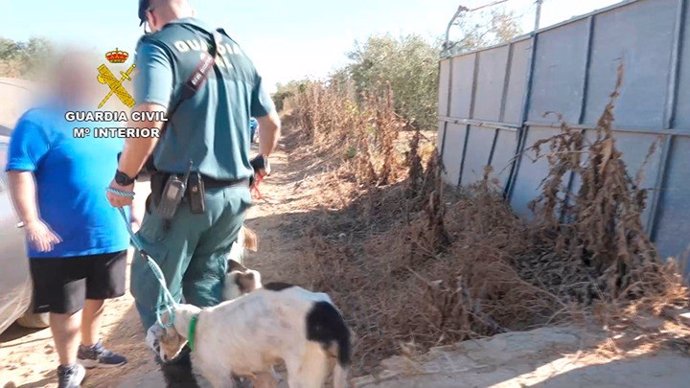 Guardia Civil localiza una rehala de perros en Manzanilla (Huelva) cuyo propietario no cumplía la normativa.
