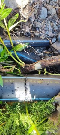 Cantoria (Almería) pide colaboración ciudadana para identificar al saboteador de la red de suministro de agua