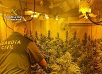 Desarticulados dos centros de producción de marihuana en Granada con dos detenidos