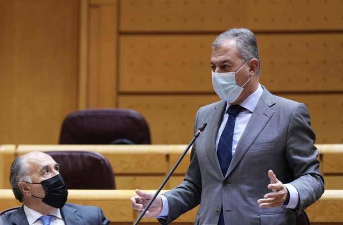 Archivo - El candidato del PP a la Alcaldía de Sevilla y senador del PP, José Luis Sanz, en el Senado, en una imagen de archivo.