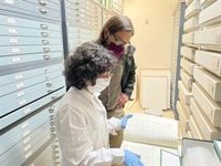 El RJB-CSIC colabora en la descripción de una nueva especie de nenúfar gigante boliviano cultivado en Kew Gardens