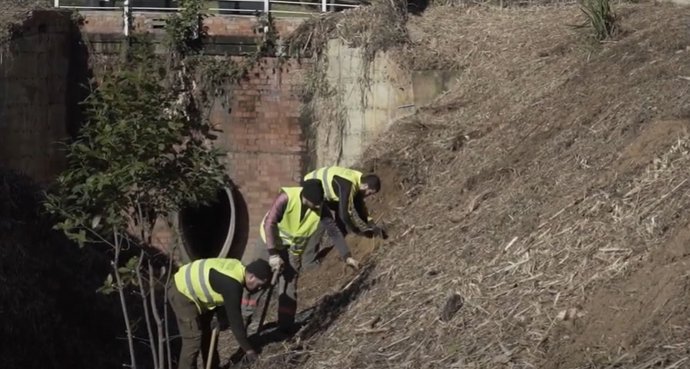 Tareas de mantenimiento y conservación de cauces en zona urbana